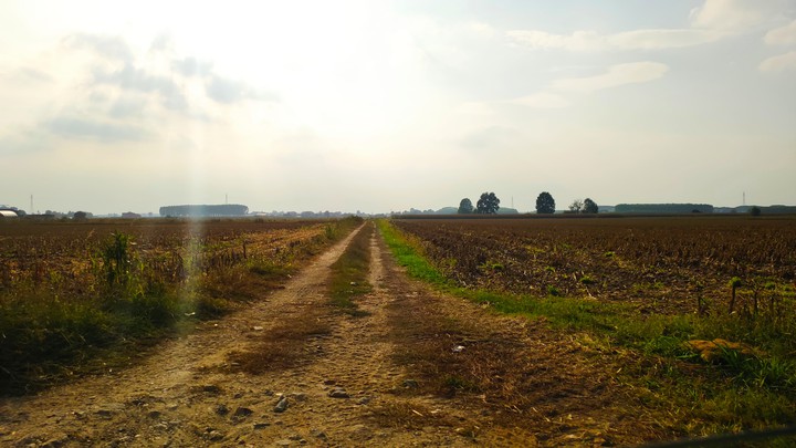 Vinov-Carignano, campi in autunno