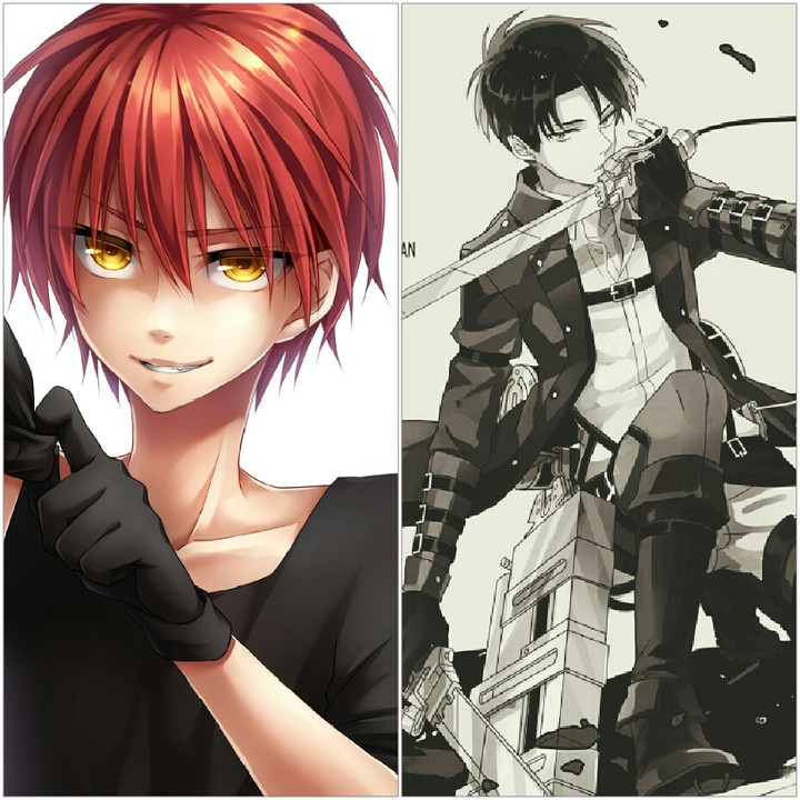 karma or levi?