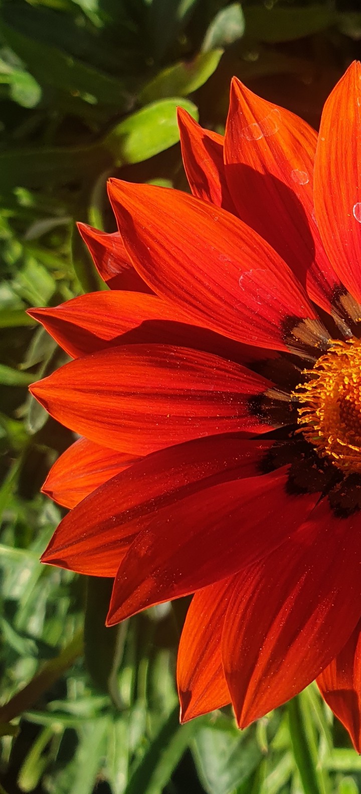 like a sun