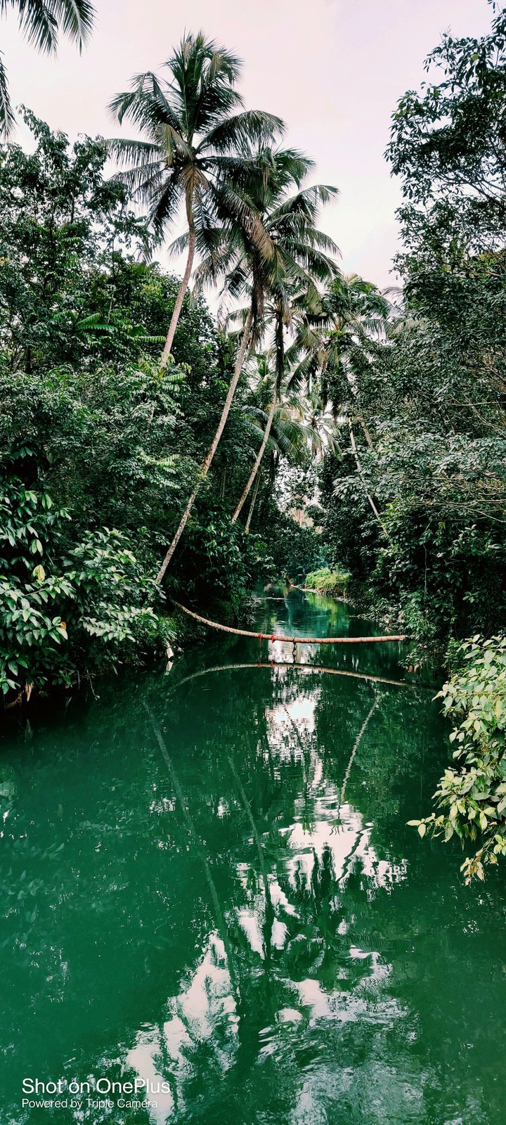 Kerala