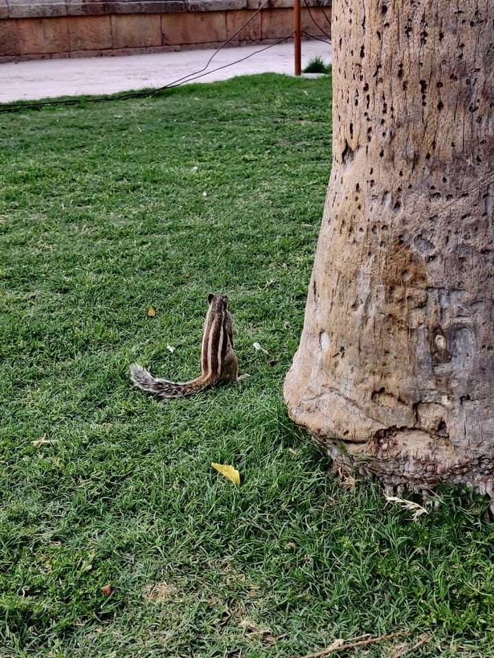 Waiting for someone