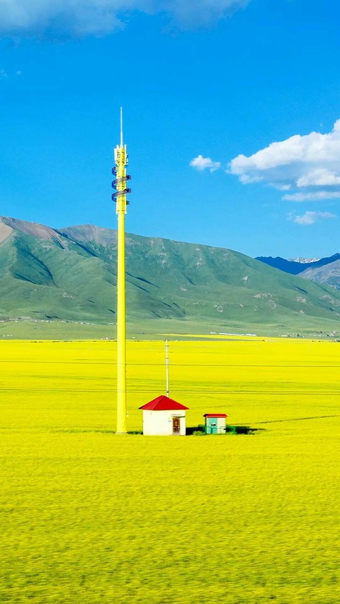 Yellow