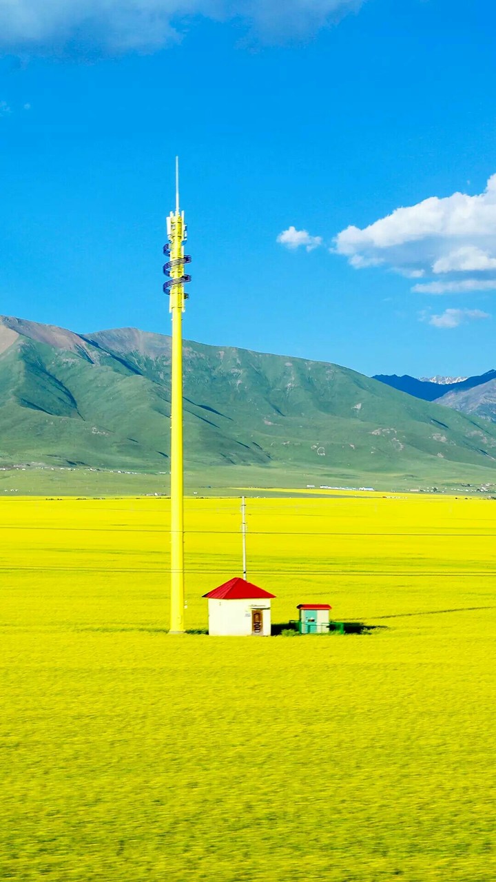 Yellow