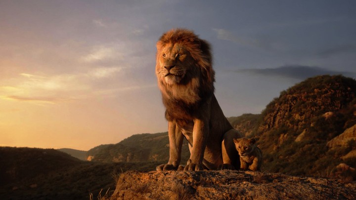 king of lion