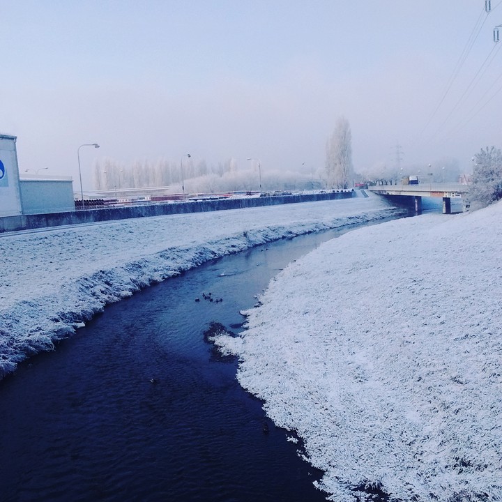 moravka
