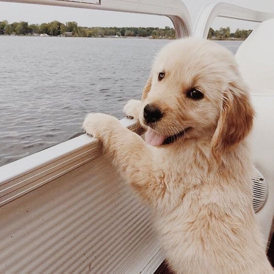 ♥