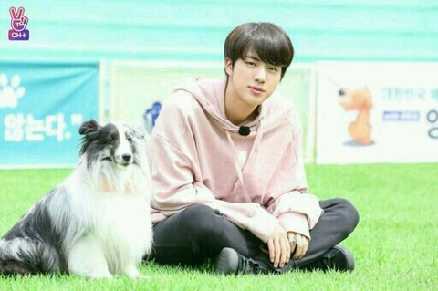Jin and dog