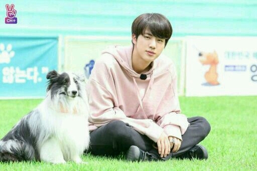 Jin and dog