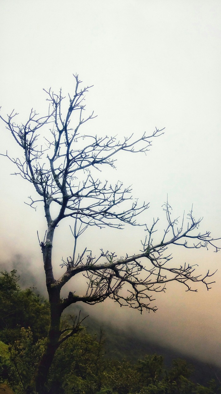 Beauty of Nature
