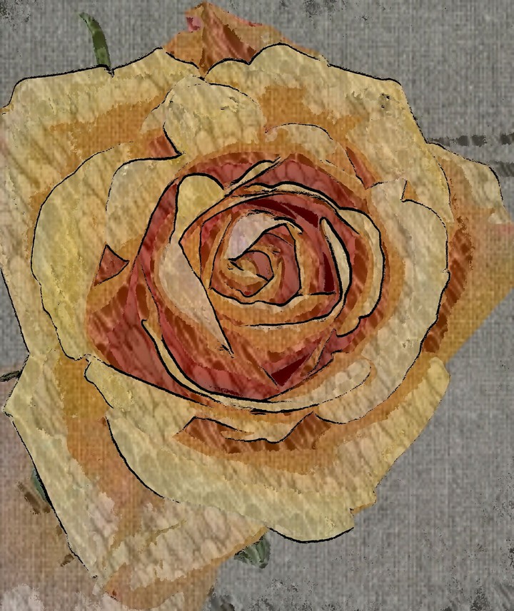 Rose