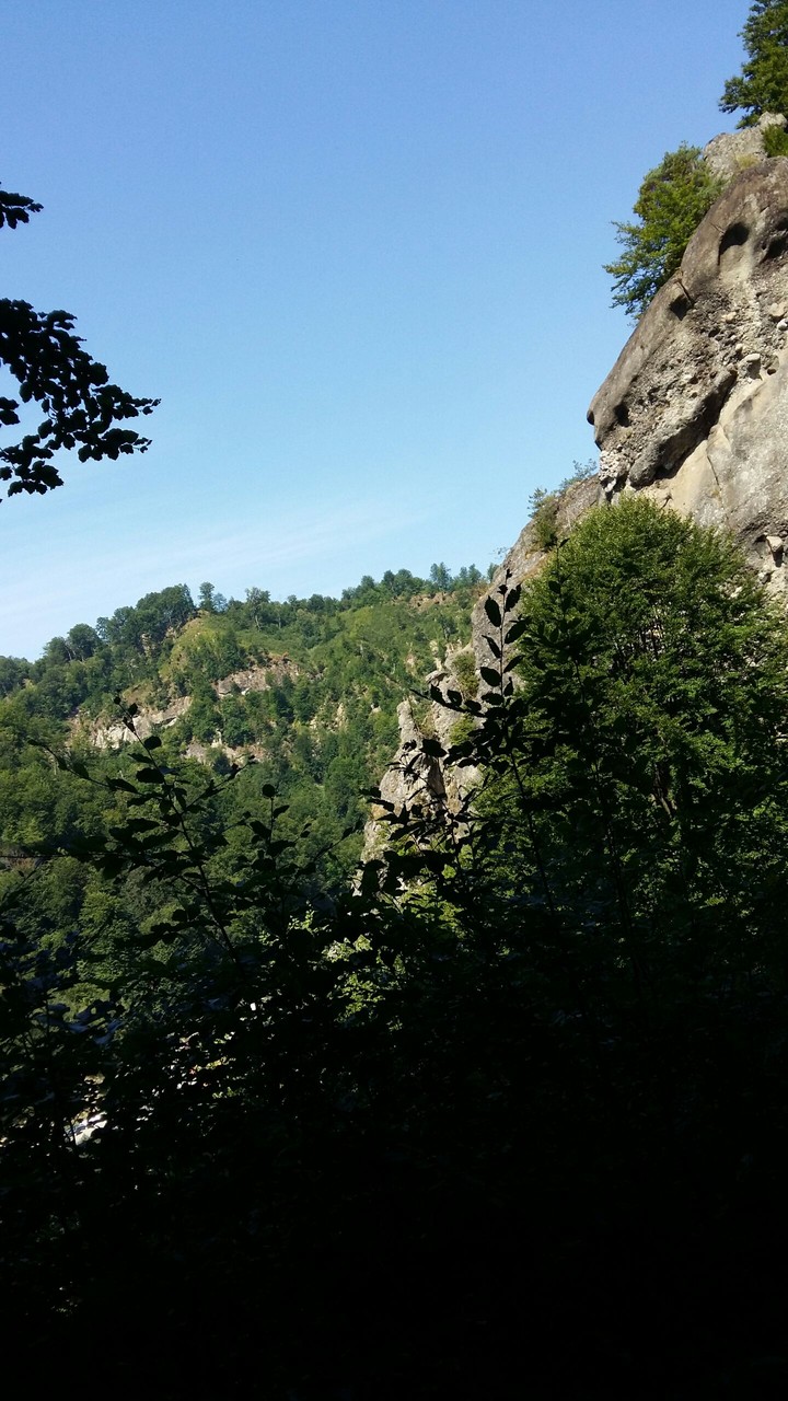 Just nature