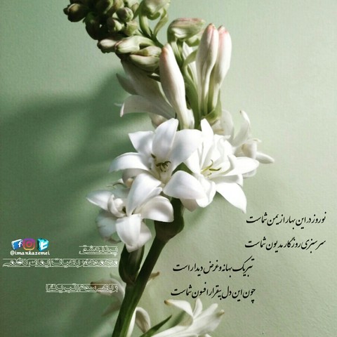 رباعی سوم (تبریک)