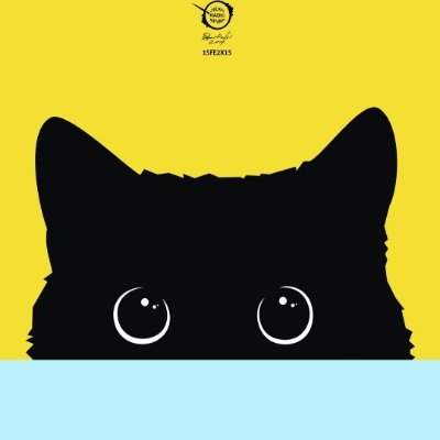 cat photo