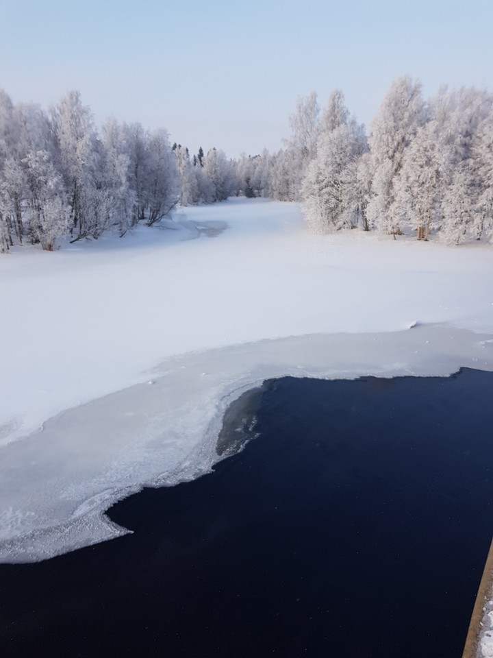 Spring is coming