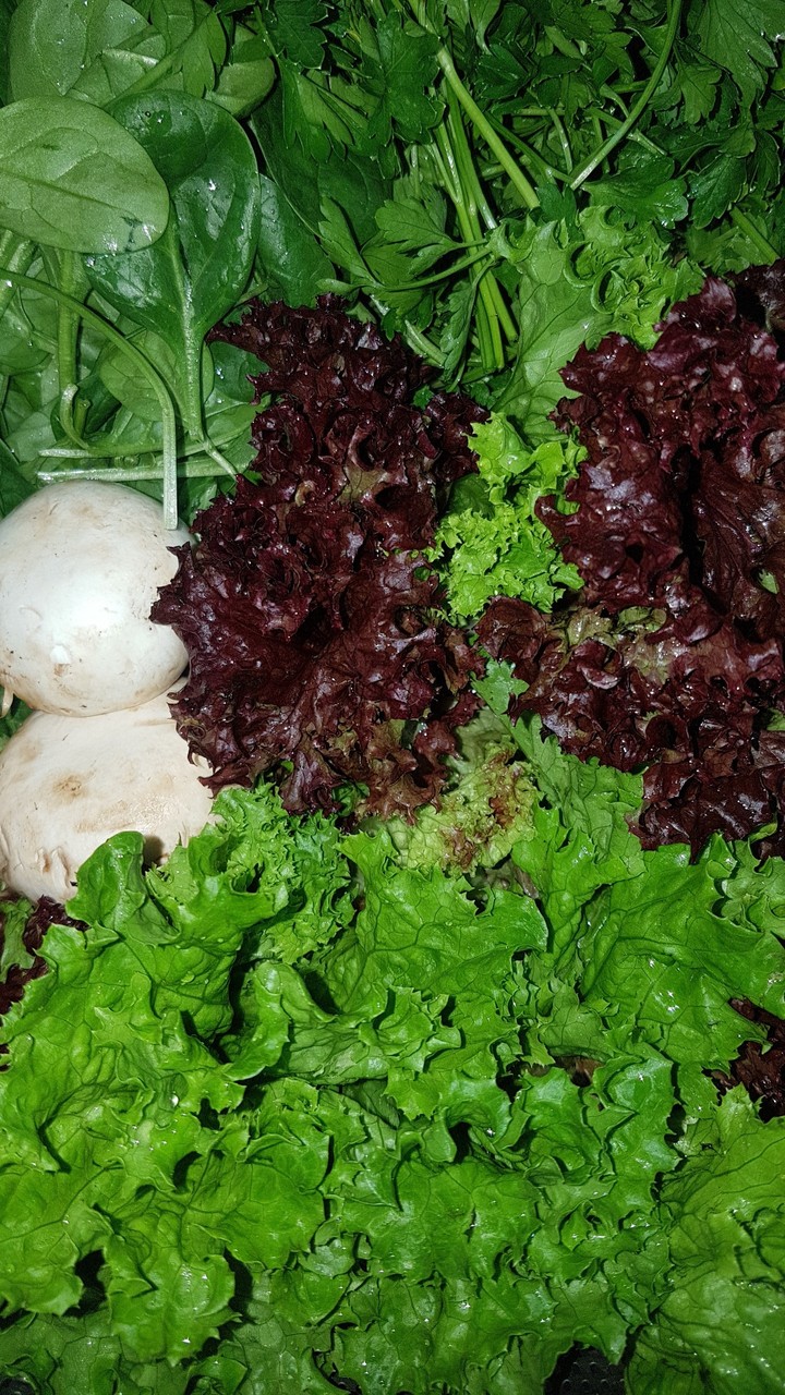 green healthy