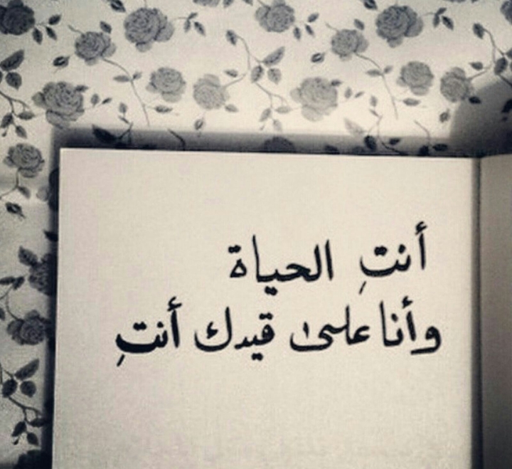 انت الحياهYou my life