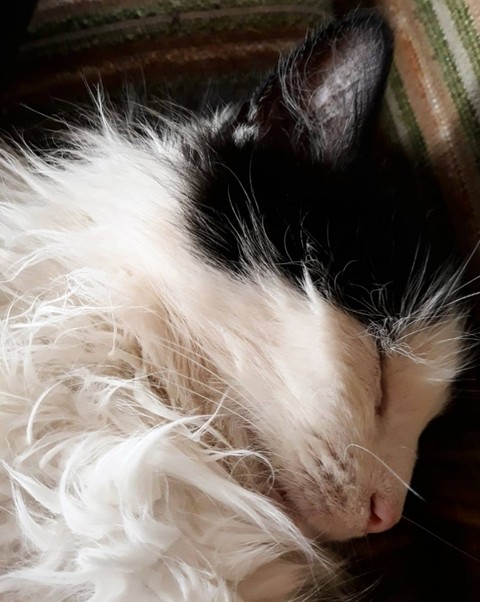 sleepy baby