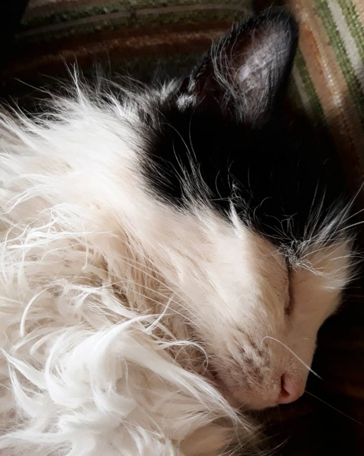 sleepy baby