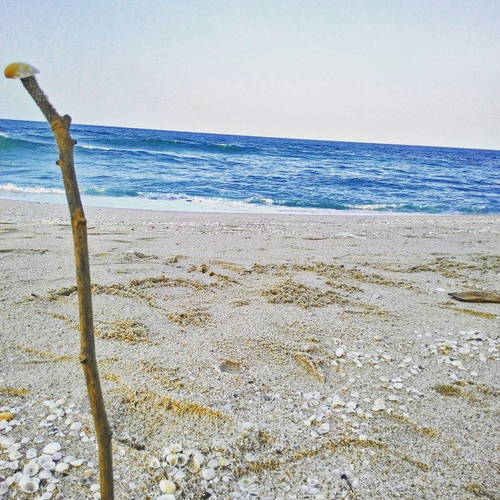 beach