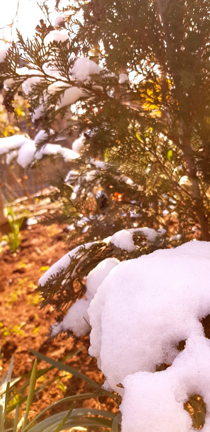 Spring in April