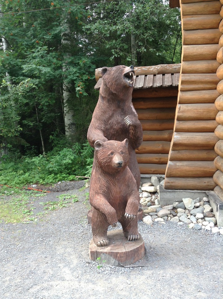 Bears