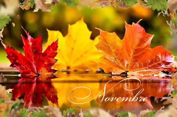November