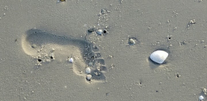 footprint no filter