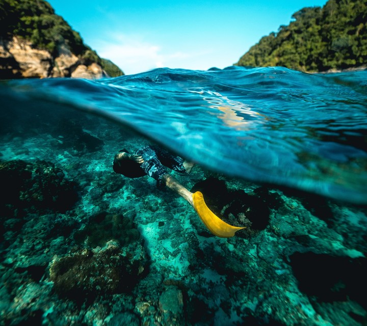 Paraíso dentro del mar