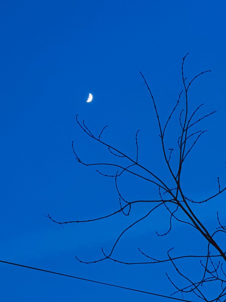 moon