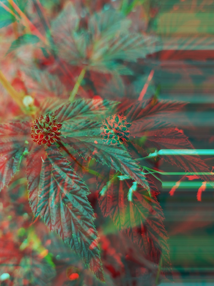 Illusion