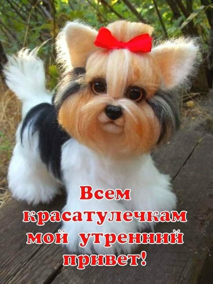 на позитиве!