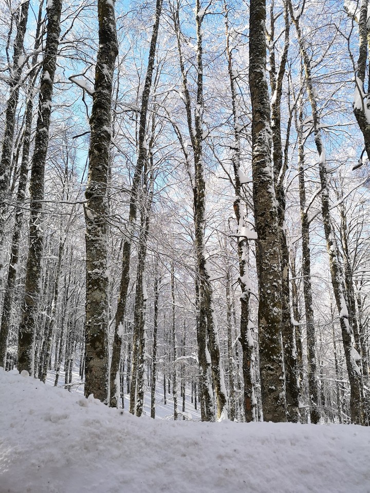winter
