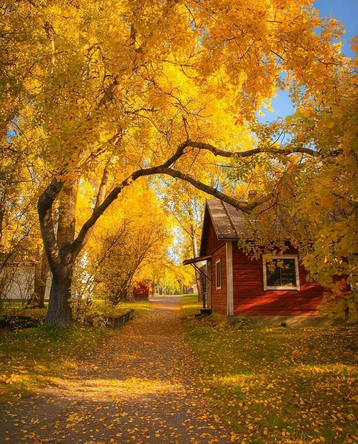Fall in Finland