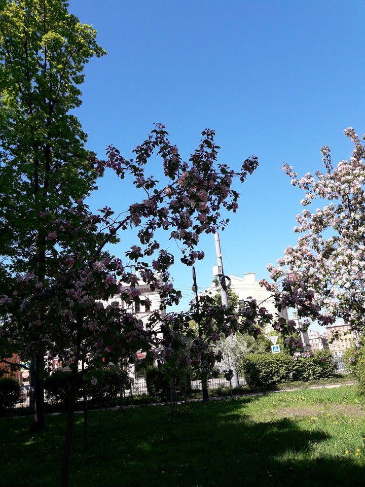 Весна в Санкт-Петербурге.