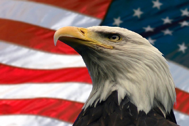 USA Egal