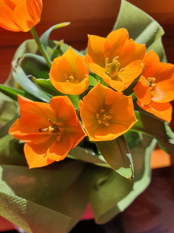 orange