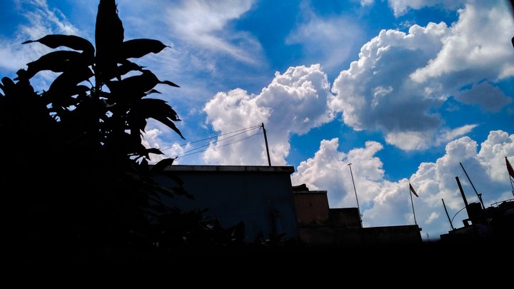 Autumn sky