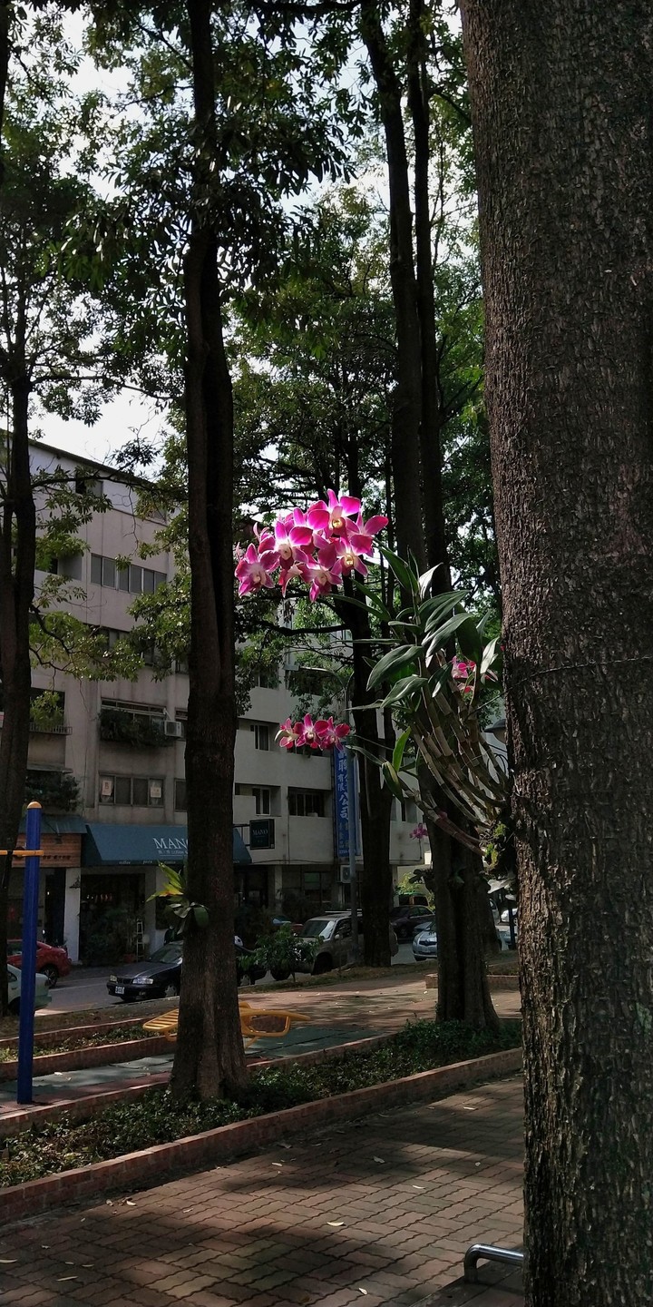 street in Taichung City
