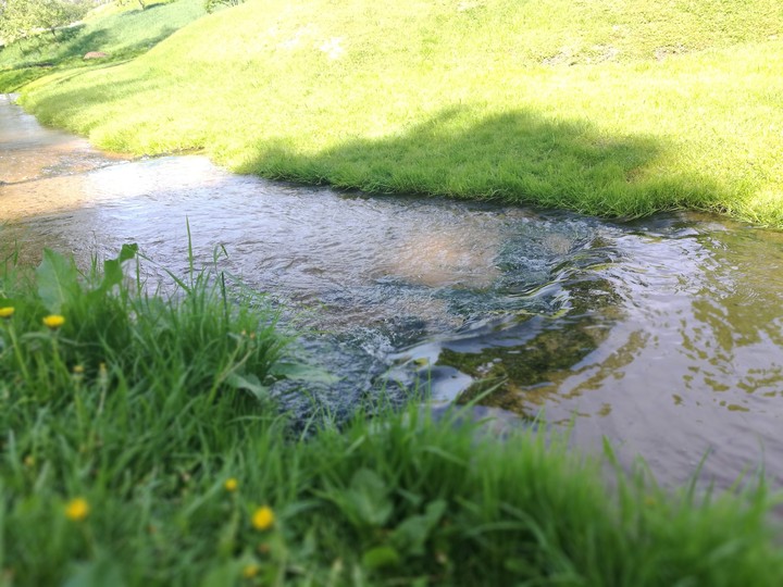 River Whirlpool
