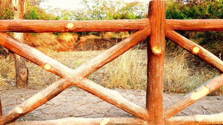 Wooden Fence