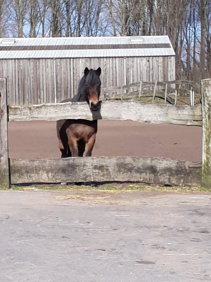 Mon bébé