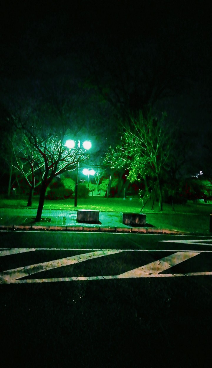 夜景
