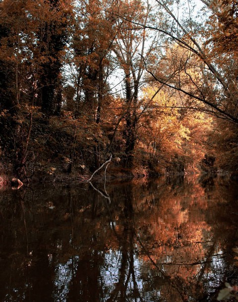 Reflection