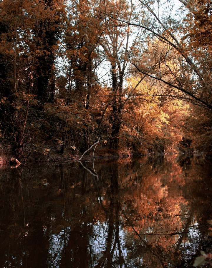 Reflection