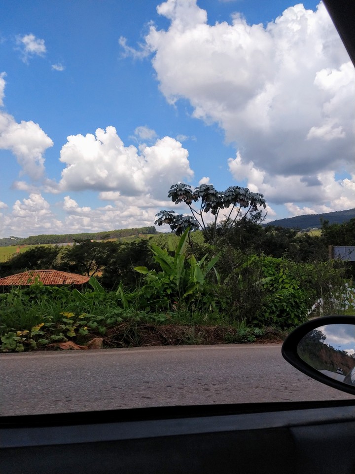 Rio Manso - MG