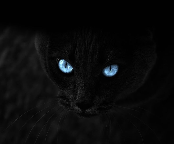 devil eyes