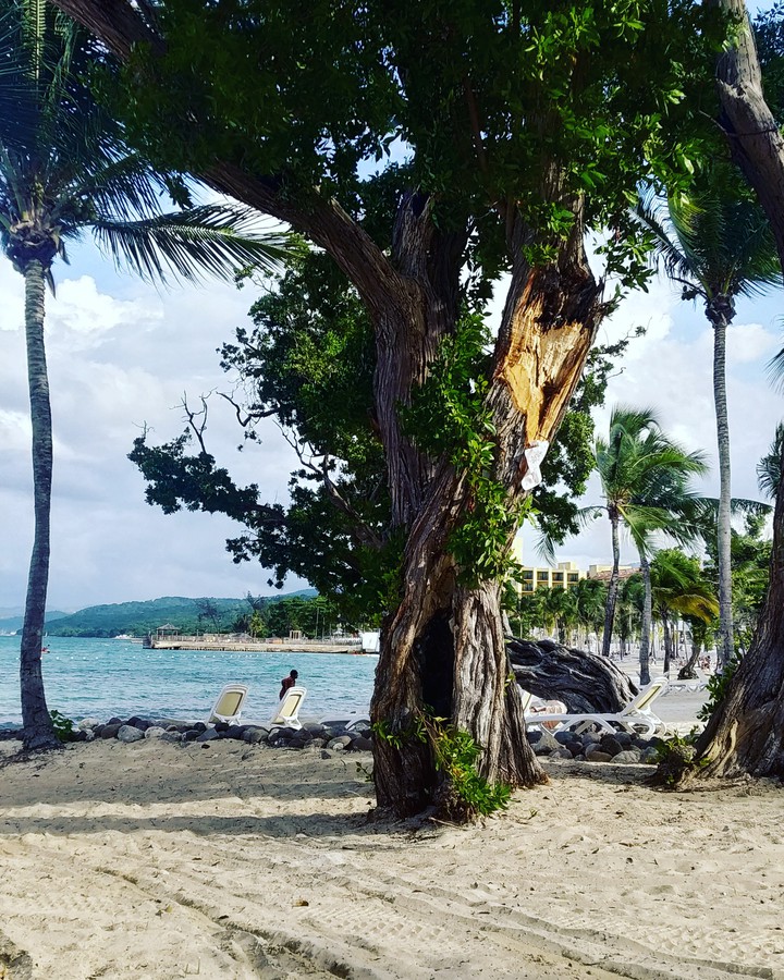 Jamaica