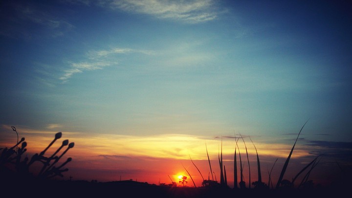 dusk