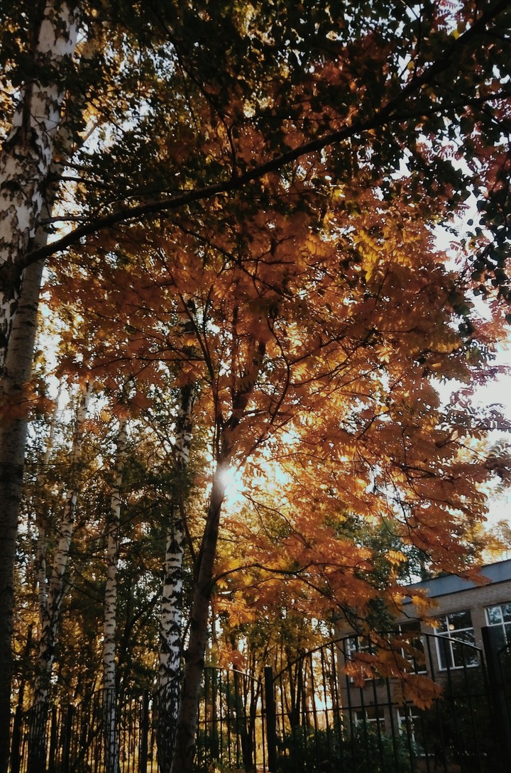 возле школы