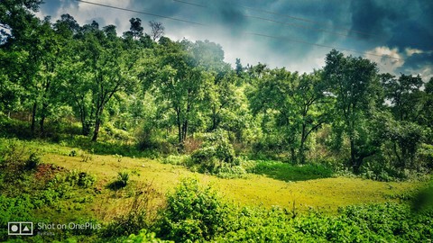 nature